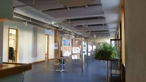 Rachel BRU - BRU RACHEL